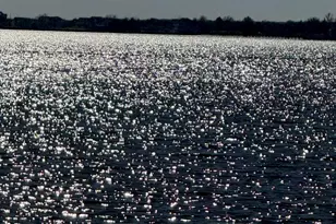 115 Bay Pkwy, Waretown, NJ 08758 - Photo 26