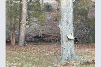 59 Niagara Drive, Toms River Township, NJ 08753 - Photo 14