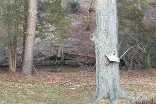 59 Niagara Dr, Toms River Township, NJ 08753 - Photo 14