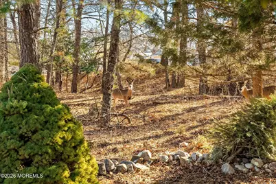 52 Castleton Drive, Toms River Township, NJ 08757 - Photo 28