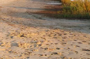 445 S Riverside Dr, Neptune Township, NJ 07753 - Photo 32