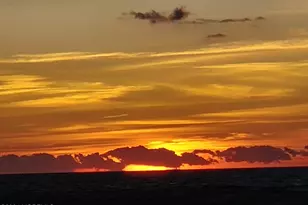 445 S Riverside Dr, Neptune Township, NJ 07753 - Photo 36