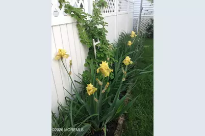 74 Mount Hermon Way, Ocean Grove, NJ 07756 - Photo 42