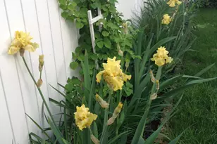 74 Mt Hermon Way, Ocean Grove, NJ 07756 - Photo 42