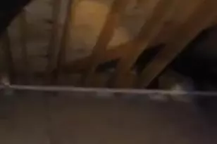 1000 Birmingham Ave, Toms River Township, NJ 08757 - Photo 46