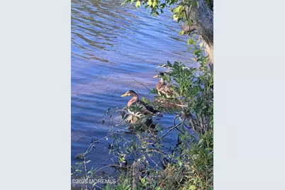 397A Chesterfield Court, Lakewood, NJ 08701 - Photo 34