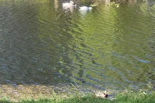 397A Chesterfield Ct, Lakewood, NJ 08701 - Photo 36