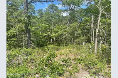 1463 Route 539, Little Egg Harbor, NJ 08087 - Photo 2