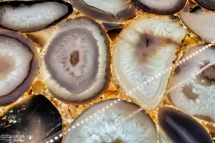 1762 Todd Rd, Toms River Township, NJ 08755 - Photo 40