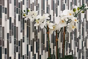 27 Beaumont Ct, Tinton Falls, NJ 07724 - Photo 6