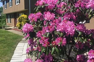 844 Miller Ave, Jackson, NJ 08527 - Photo 10