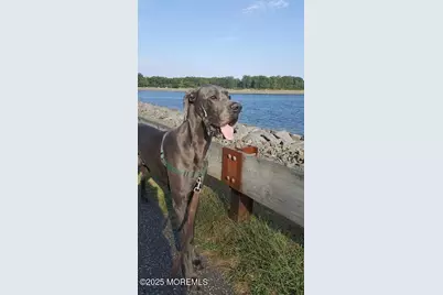 720 Maidenstone Drive, Brick, NJ 08724 - Photo 72