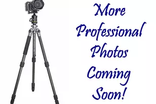 38 Park Ridge Way, Jackson, NJ 08527 - Photo 4