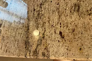 22 Cedar Village Blvd, Brick, NJ 08724 - Photo 6