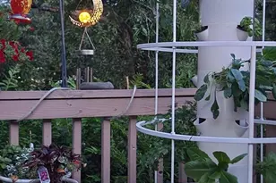 2166 Windfield Dr, Wall Township, NJ 07719 - Photo 20