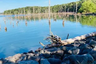 9 Ivy Pl, Howell Township, NJ 07731 - Photo 24