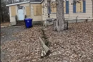 982 Falkenberg Rd, Brick, NJ 08724 - Photo 2