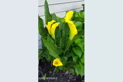 9 Pine Valley Road, Lakewood, NJ 08701 - Photo 44