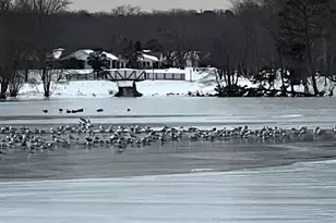 173A Sterling Ct, Lakewood, NJ 08701 - Photo 42