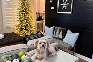 365 Hopedale Dr SE, Bayville, NJ 08721 - Photo 4