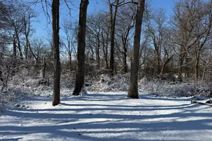 33 Weaverville Rd, Freehold, NJ 07728 - Photo 8