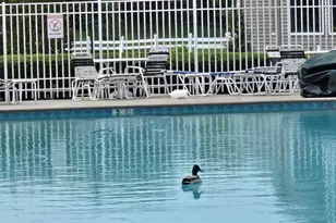 2357 W Ashfield Ct, Toms River Township, NJ 08755 - Photo 38