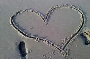 120 Garfield Ave, Avon by the Sea, NJ 07717 - Photo 66