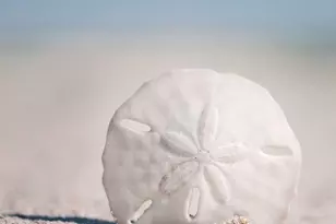 120 Garfield Ave, Avon by the Sea, NJ 07717 - Photo 62