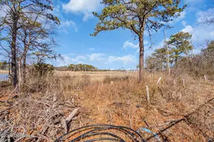 46 Bay Harbor Blvd, Brick, NJ 08723 - Photo 36