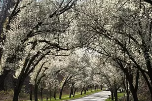 11 Mt Dr, Holmdel, NJ 07733 - Photo 34