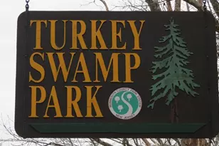 221 Georgia Rd, Freehold, NJ 07728 - Photo 46