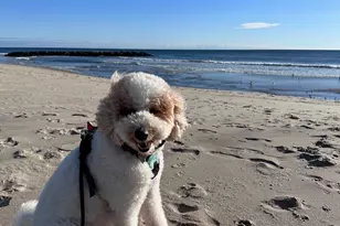 214 Brinley Ave, Bradley Beach, NJ 07720 - Photo 24