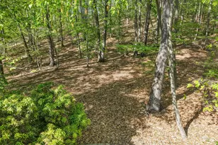 4 Glenwood Rd, Colts Neck Township, NJ 07722 - Photo 38