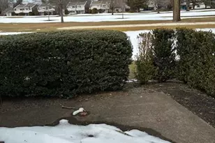 16 Cherry Ct, Spring Lake, NJ 07762 - Photo 12