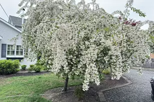 703 Sea Girt Ave, Sea Girt, NJ 08750 - Photo 60