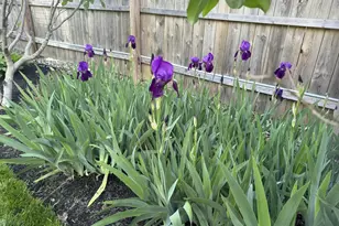 703 Sea Girt Ave, Sea Girt, NJ 08750 - Photo 58