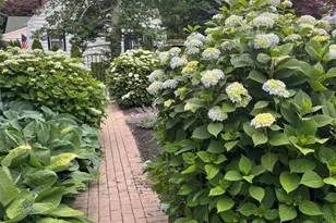 703 Sea Girt Ave, Sea Girt, NJ 08750 - Photo 44