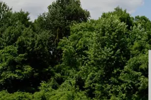 2641 E Hurley Pond Rd, Wall Township, NJ 07719 - Photo 1