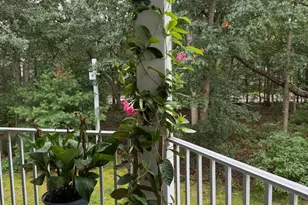 53 Navajo Ct, Galloway, NJ 08205 - Photo 42