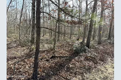 0 Cedar Bridge Road, Barnegat, NJ 08005 - Photo 2