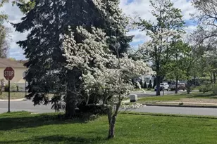 99 Westwood Dr, Toms River Township, NJ 08753 - Photo 4