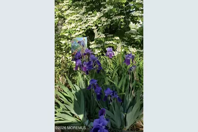 99 Westwood Drive, Toms River Township, NJ 08753 - Photo 6