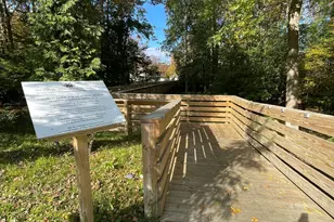 243 Woodcrest Rd, Oakhurst, NJ 07755 - Photo 34