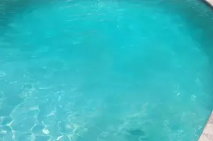 242 Bar Harbor Rd, Freehold, NJ 07728 - Photo 48