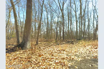 117 Driftway Road, Howell Township, NJ 07731 - Photo 12