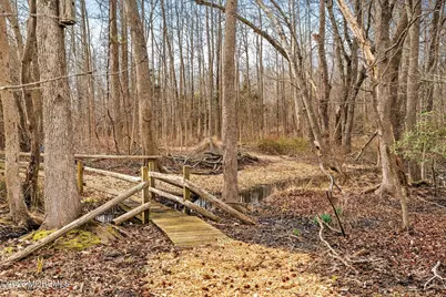 38 Cranberry Canners Road, New Egypt, NJ 08533 - Photo 62