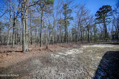 435 Vath Street, Jackson, NJ 08527 - Photo 54