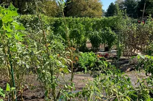 1F Chadwick Ln, Monroe Township, NJ 08831 - Photo 30