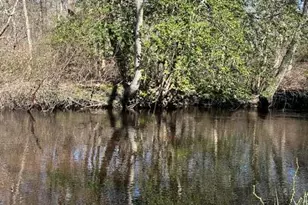 4005 Cleveland St, Toms River Township, NJ 08755 - Photo 44