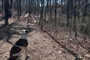 4005 Cleveland St, Toms River Township, NJ 08755 - Photo 46